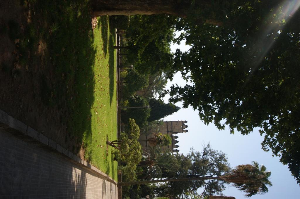 Hostal Alcazar — Photos 1